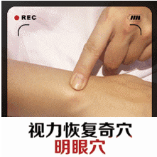 图片5.png
